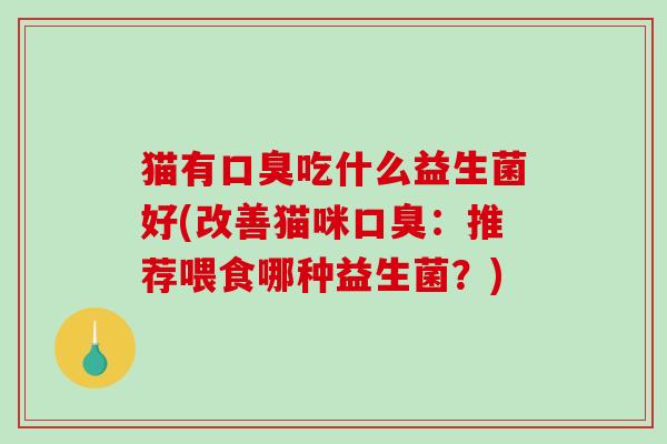 猫有口臭吃什么益生菌好(改善猫咪口臭：推荐喂食哪种益生菌？)