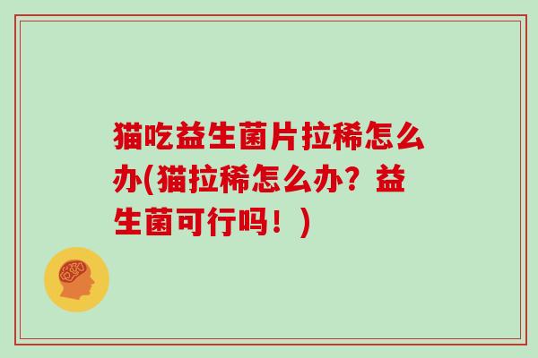 猫吃益生菌片拉稀怎么办(猫拉稀怎么办？益生菌可行吗！)