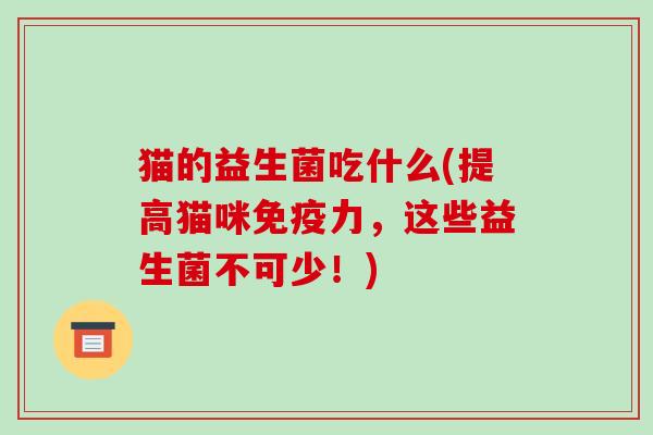 猫的益生菌吃什么(提高猫咪免疫力，这些益生菌不可少！)