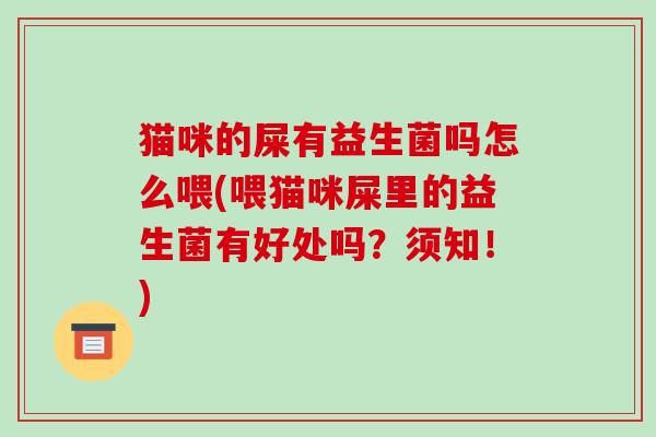 猫咪的屎有益生菌吗怎么喂(喂猫咪屎里的益生菌有好处吗？须知！)