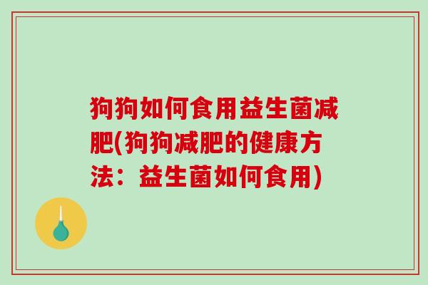 狗狗如何食用益生菌减肥(狗狗减肥的健康方法：益生菌如何食用)