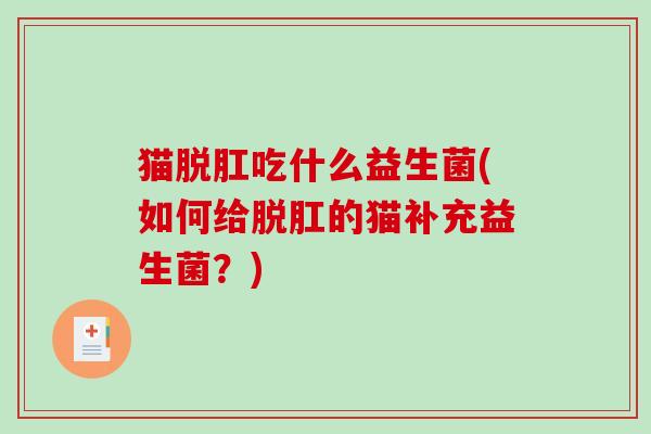 猫脱肛吃什么益生菌(如何给脱肛的猫补充益生菌？)