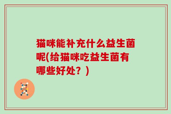 猫咪能补充什么益生菌呢(给猫咪吃益生菌有哪些好处？)