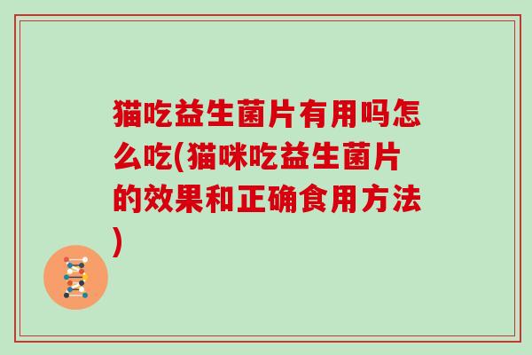 猫吃益生菌片有用吗怎么吃(猫咪吃益生菌片的效果和正确食用方法)