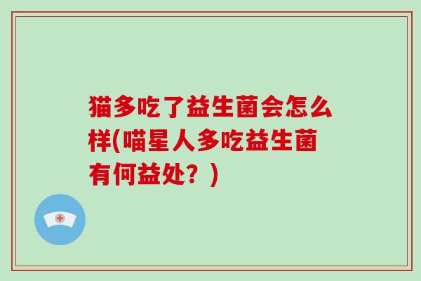 猫多吃了益生菌会怎么样(喵星人多吃益生菌有何益处？)