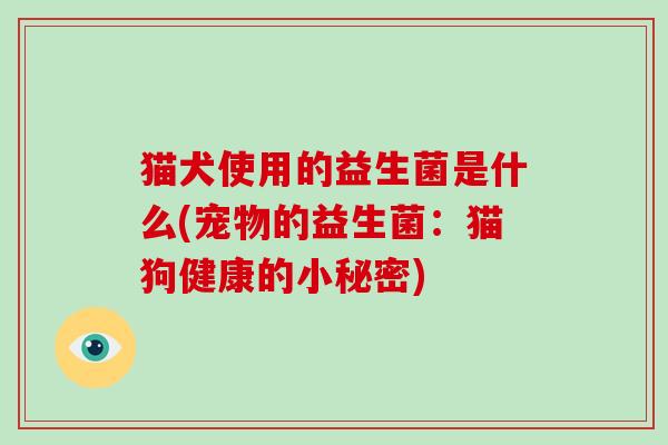 猫犬使用的益生菌是什么(宠物的益生菌：猫狗健康的小秘密)