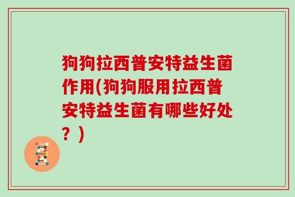 狗狗拉西普安特益生菌作用(狗狗服用拉西普安特益生菌有哪些好处？)