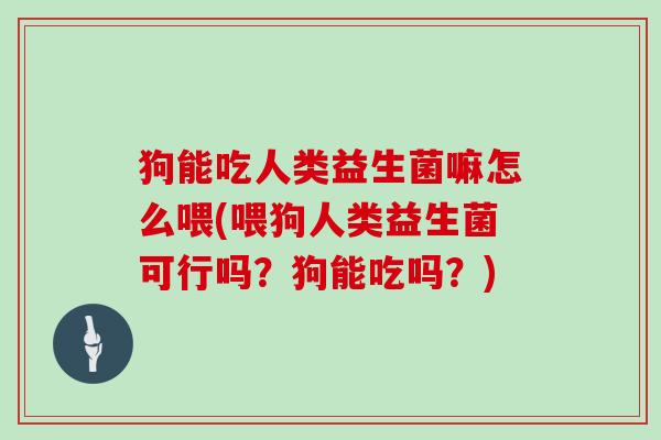 狗能吃人类益生菌嘛怎么喂(喂狗人类益生菌可行吗？狗能吃吗？)