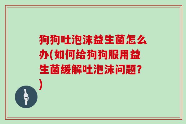 狗狗吐泡沫益生菌怎么办(如何给狗狗服用益生菌缓解吐泡沫问题？)