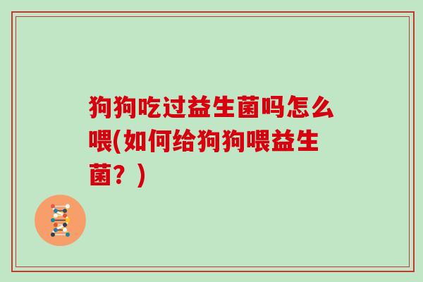 狗狗吃过益生菌吗怎么喂(如何给狗狗喂益生菌？)
