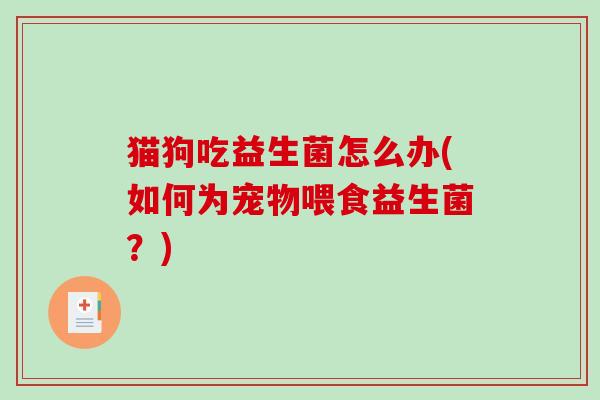 猫狗吃益生菌怎么办(如何为宠物喂食益生菌？)