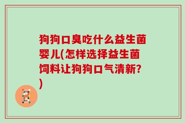 狗狗吃什么益生菌婴儿(怎样选择益生菌饲料让狗狗口气清新？)
