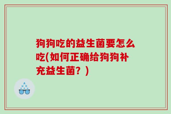 狗狗吃的益生菌要怎么吃(如何正确给狗狗补充益生菌？)