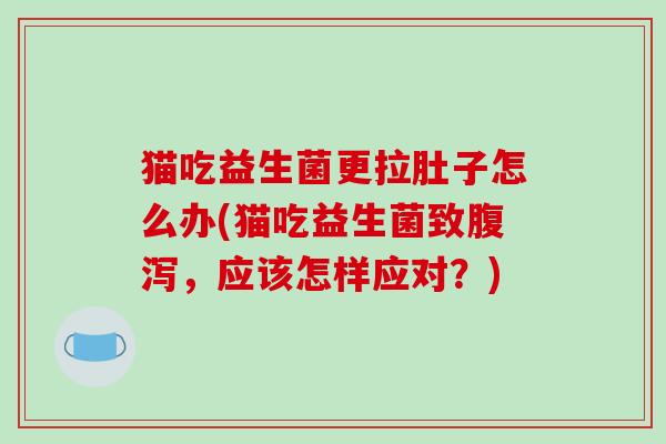 猫吃益生菌更拉肚子怎么办(猫吃益生菌致腹泻，应该怎样应对？)
