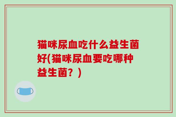 猫咪尿吃什么益生菌好(猫咪尿要吃哪种益生菌？)