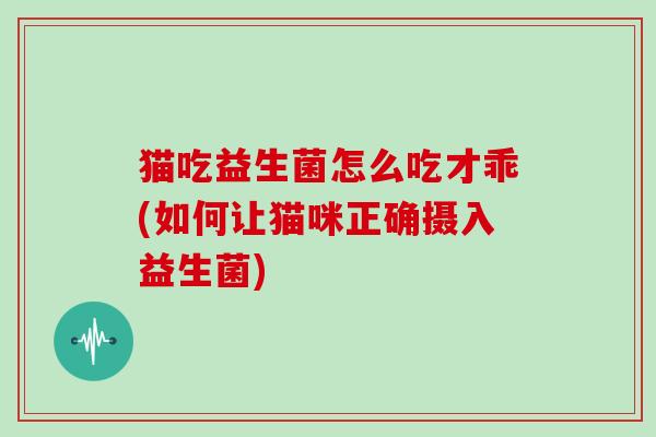猫吃益生菌怎么吃才乖(如何让猫咪正确摄入益生菌)