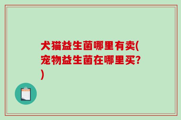 犬猫益生菌哪里有卖(宠物益生菌在哪里买？)