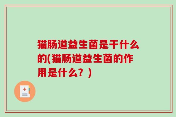 猫肠道益生菌是干什么的(猫肠道益生菌的作用是什么？)