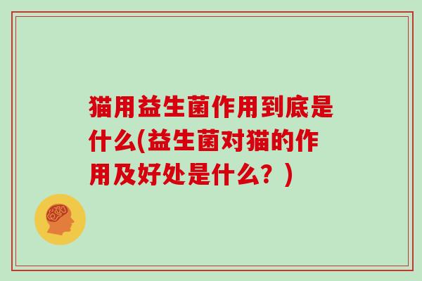猫用益生菌作用到底是什么(益生菌对猫的作用及好处是什么？)