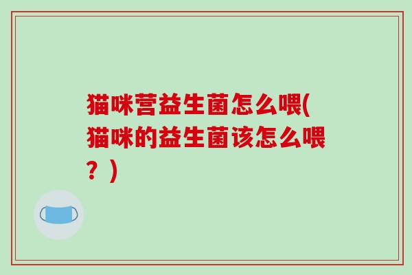 猫咪营益生菌怎么喂(猫咪的益生菌该怎么喂？)