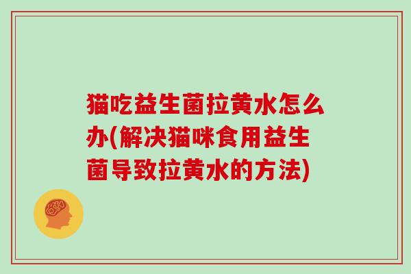 猫吃益生菌拉黄水怎么办(解决猫咪食用益生菌导致拉黄水的方法)
