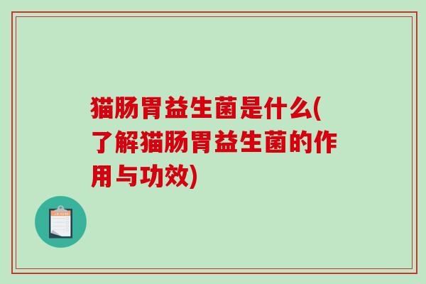 猫肠胃益生菌是什么(了解猫肠胃益生菌的作用与功效)