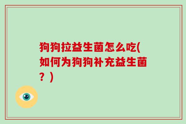 狗狗拉益生菌怎么吃(如何为狗狗补充益生菌？)