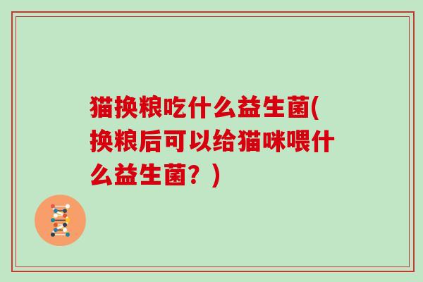 猫换粮吃什么益生菌(换粮后可以给猫咪喂什么益生菌？)