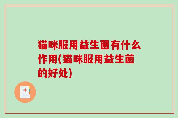猫咪服用益生菌有什么作用(猫咪服用益生菌的好处)