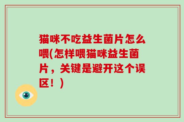 猫咪不吃益生菌片怎么喂(怎样喂猫咪益生菌片，关键是避开这个误区！)