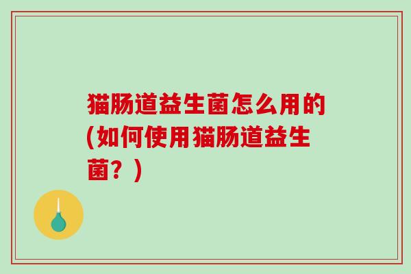 猫肠道益生菌怎么用的(如何使用猫肠道益生菌？)