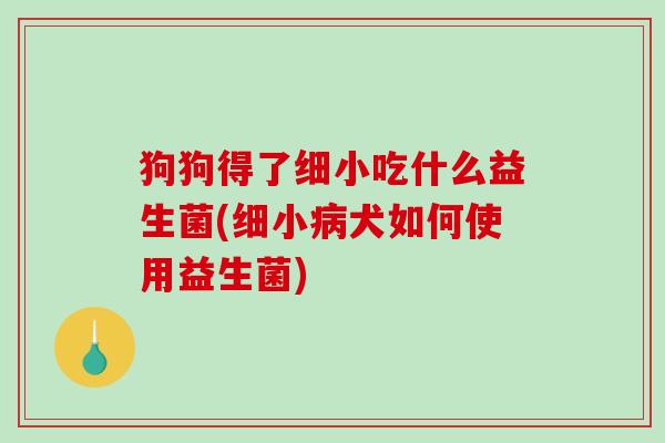 狗狗得了细小吃什么益生菌(细小病犬如何使用益生菌)