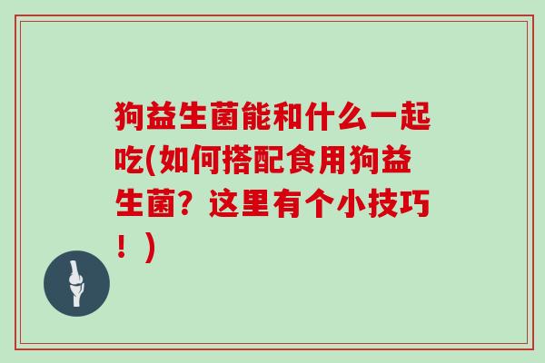 狗益生菌能和什么一起吃(如何搭配食用狗益生菌？这里有个小技巧！)