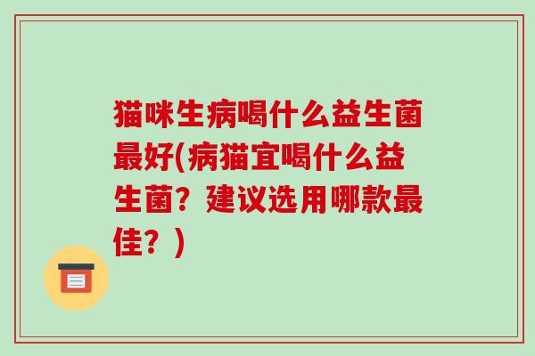 猫咪生病喝什么益生菌最好(病猫宜喝什么益生菌？建议选用哪款最佳？)