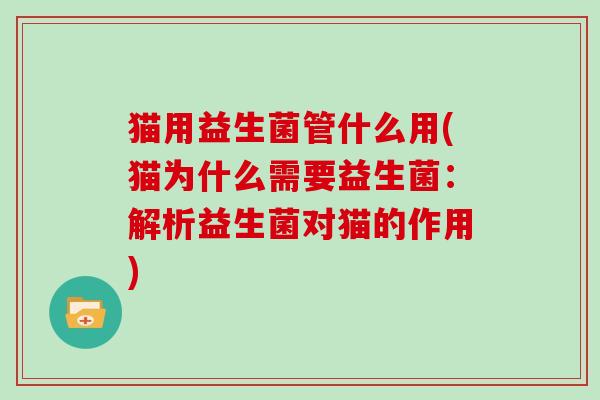 猫用益生菌管什么用(猫为什么需要益生菌：解析益生菌对猫的作用)