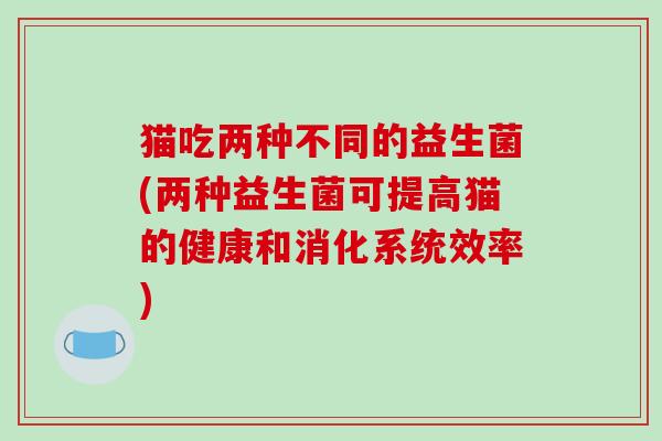 猫吃两种不同的益生菌(两种益生菌可提高猫的健康和消化系统效率)