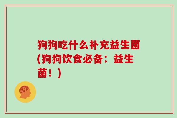 狗狗吃什么补充益生菌(狗狗饮食必备：益生菌！)