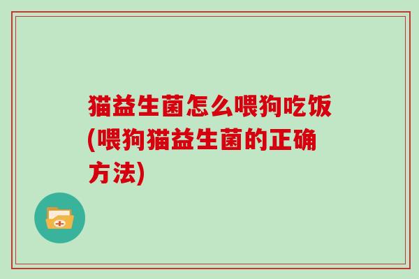 猫益生菌怎么喂狗吃饭(喂狗猫益生菌的正确方法)