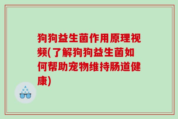 狗狗益生菌作用原理视频(了解狗狗益生菌如何帮助宠物维持肠道健康)