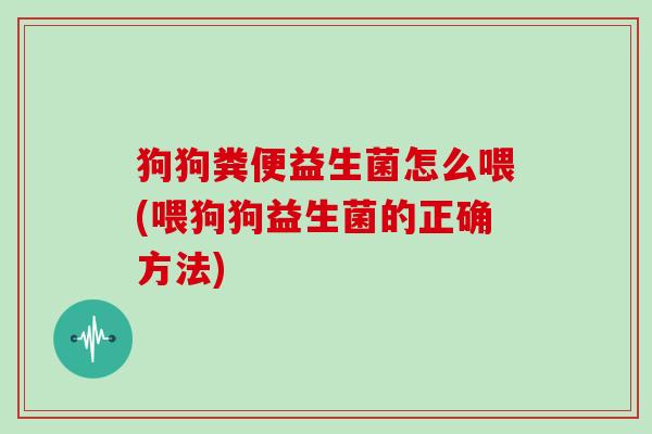 狗狗粪便益生菌怎么喂(喂狗狗益生菌的正确方法)