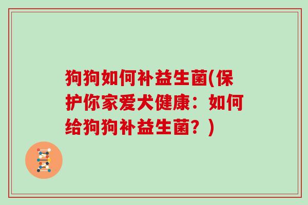 狗狗如何补益生菌(保护你家爱犬健康：如何给狗狗补益生菌？)
