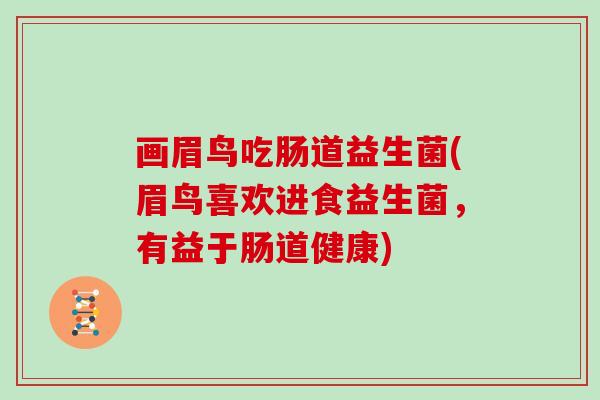 画眉鸟吃肠道益生菌(眉鸟喜欢进食益生菌，有益于肠道健康)