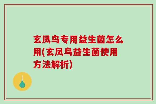 玄凤鸟专用益生菌怎么用(玄凤鸟益生菌使用方法解析)