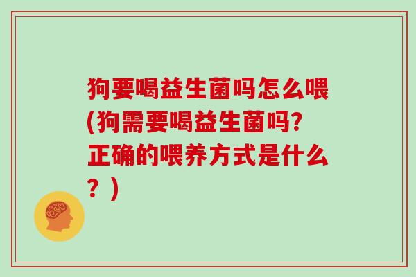 狗要喝益生菌吗怎么喂(狗需要喝益生菌吗？正确的喂养方式是什么？)