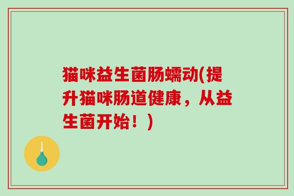猫咪益生菌肠蠕动(提升猫咪肠道健康,从益生菌开始!) 猫咪益生菌肠蠕动(提升猫咪肠道健康,从益生菌开始!)
