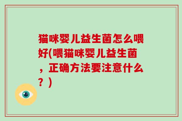 猫咪婴儿益生菌怎么喂好(喂猫咪婴儿益生菌，正确方法要注意什么？)