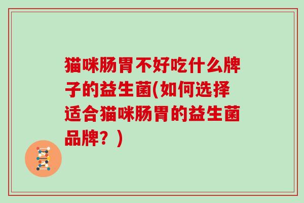猫咪肠胃不好吃什么牌子的益生菌(如何选择适合猫咪肠胃的益生菌品牌？)