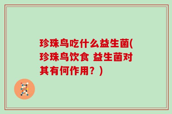 珍珠鸟吃什么益生菌(珍珠鸟饮食 益生菌对其有何作用？)