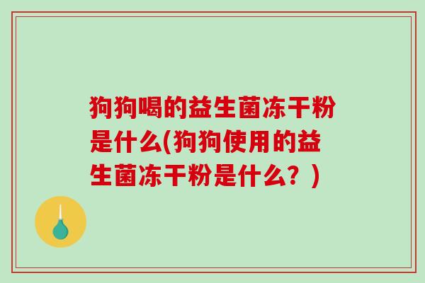 狗狗喝的益生菌冻干粉是什么(狗狗使用的益生菌冻干粉是什么？)