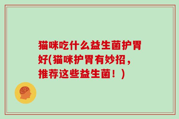 猫咪吃什么益生菌护胃好(猫咪护胃有妙招，推荐这些益生菌！)